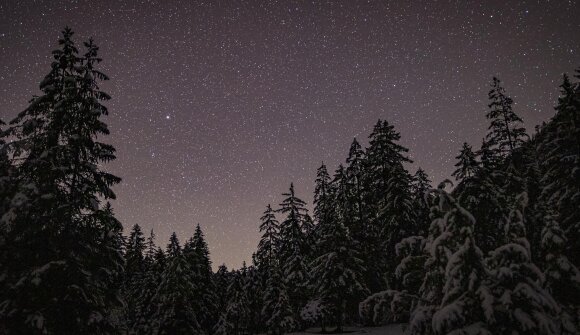 Neve Notte Fondo Fest