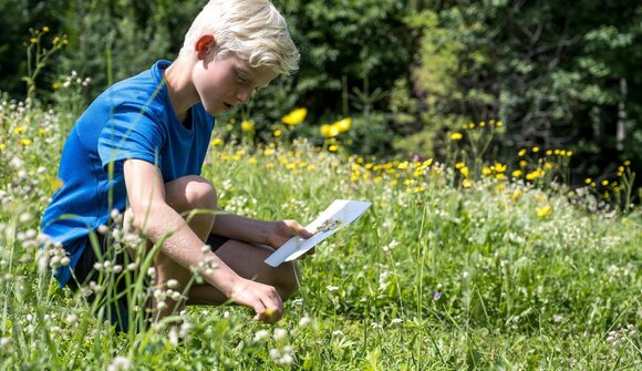 Familienwanderung: Plitsch platsch
