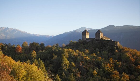 CURIOSUM Vintage, Handcraft & Design