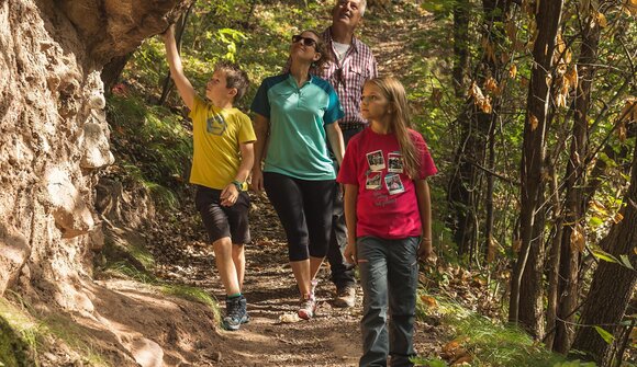 Guided excursions "Törggelen"