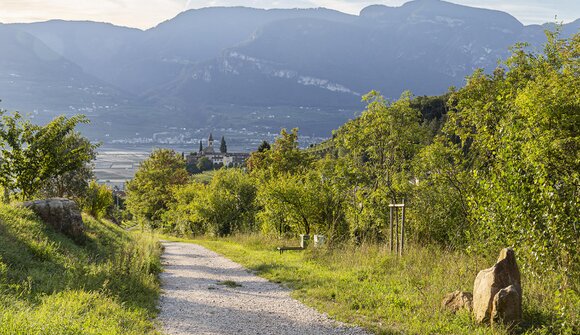 Guided hike in the Tramin Höllental