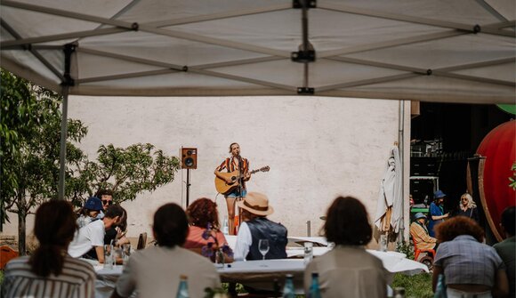 LanaLive - Finissage