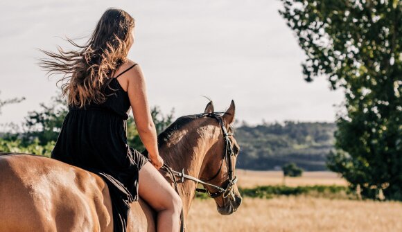 Equitazione a 360°
