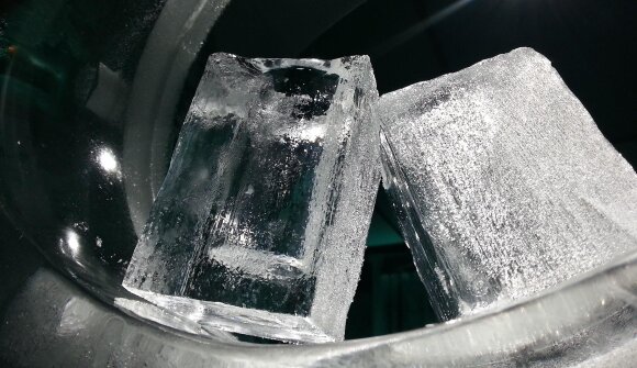 Paradice Music: The Gamblers