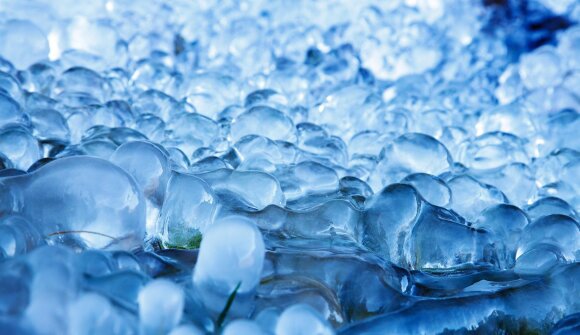 Paradice Music: Internationale Hits