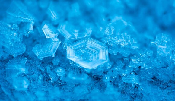 Paradice Music: Die Anthologie