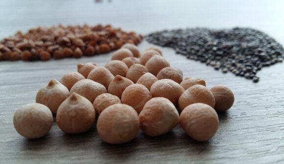 Unser Essen - Unser Leben