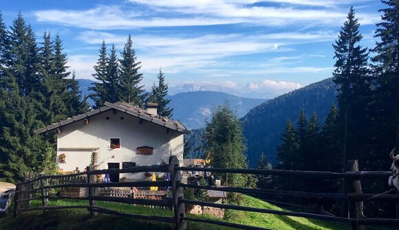 Sagra della Croce di Pozza