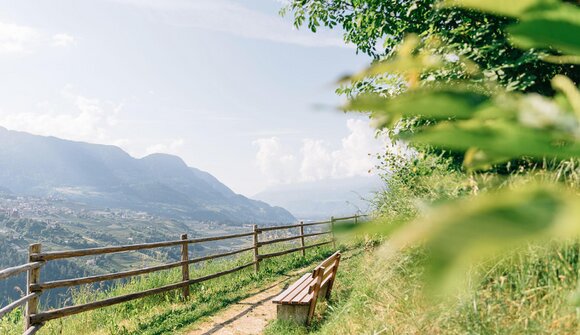 Dall’Alta Via al Waalweg