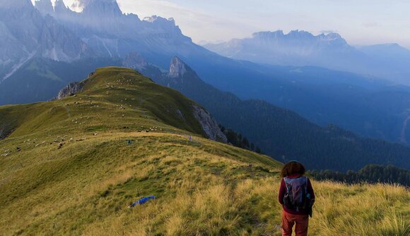 Bewusstseinswanderung