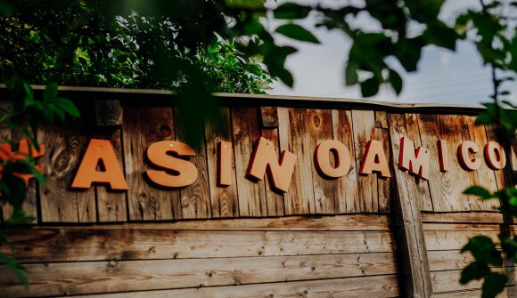 Esel & Alpakawanderung