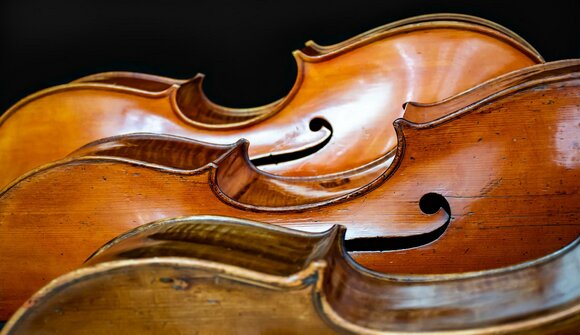 Haydn Orchestra Concert