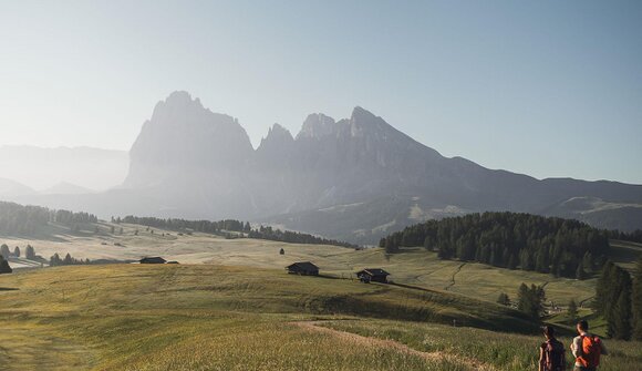 Escursione - Alpe di Siusi (facile)