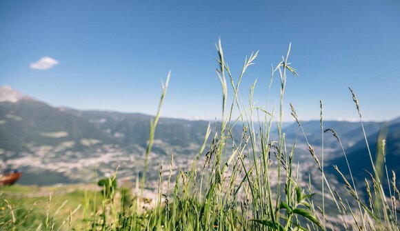 Höfewanderung im Ultental