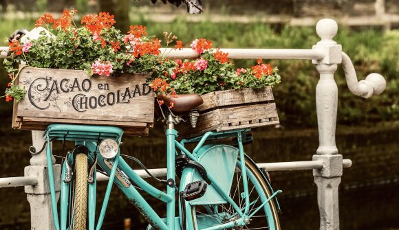 Bolzanoinbici - Boznerradtag