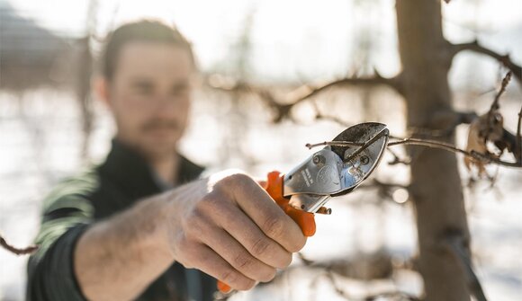 Magia del Natale sul maso delle mele