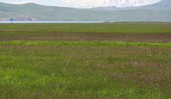 Conferenza: Turchia orientale