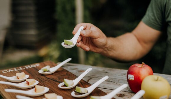 Die faszinierende Welt des Apfels