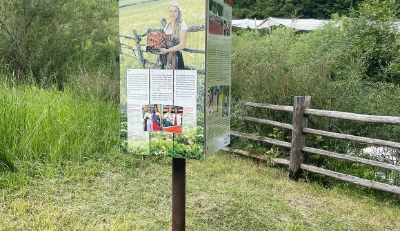 Escursione: Sentiero delle fragole