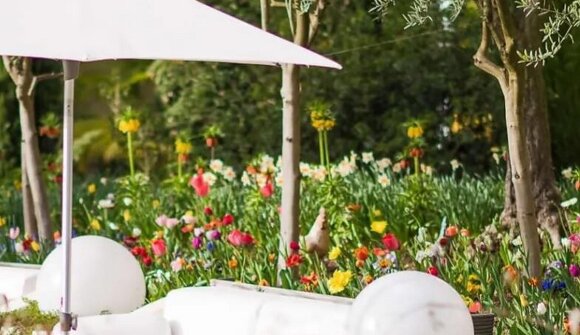 Führung: Privatgarten Hotel Mignon