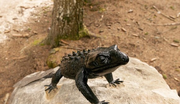 GEOPARC - Erlebnistour Saurier Pfad