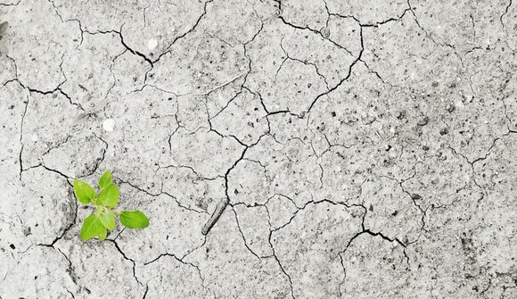 Il respiro del Mondo