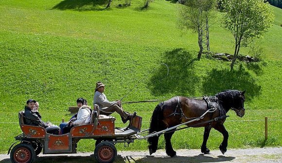 Pferdekutschenfahrt im Herbst