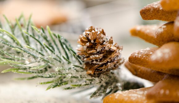 Adventszauber am Hoferhof