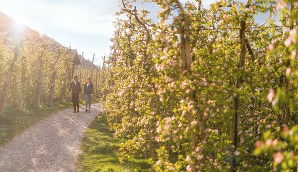 Mit der Bäuerin durch die Obstwiese