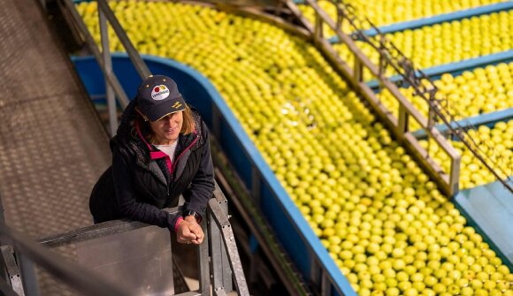 Führung: Obstgenossenschaft Texel