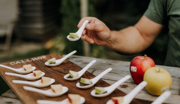 The amazing world of apples