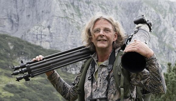 Braunbären im Brenta-Gebirge