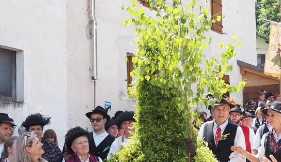 L’uomo selvatico: la versione verde