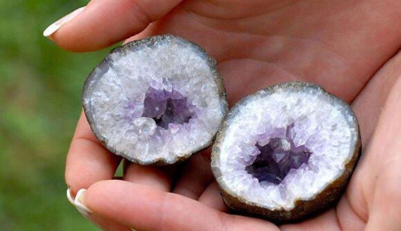 Porte aperte nel Museo Mineralogico