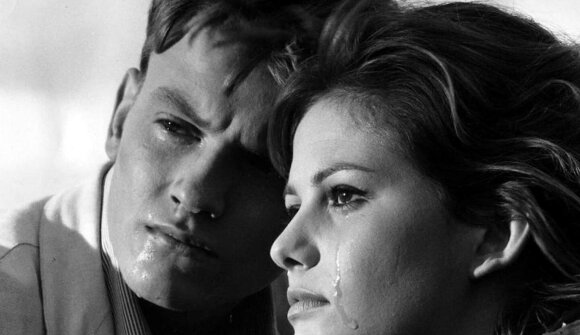 39. Bolzano Film Festival Bozen