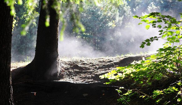 L'essenza della natura