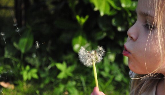 Giochi e scoperte all'Arboreto