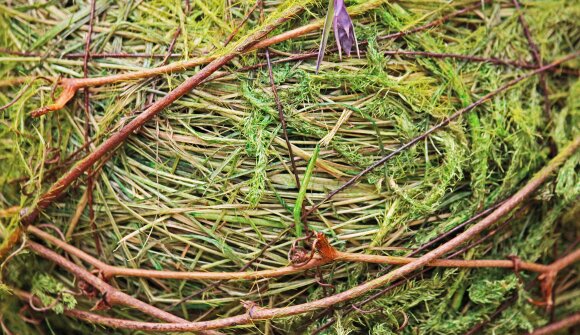 Vivi Tesino: La ruota delle stagioni