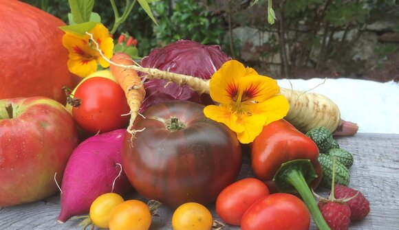 Naturnahes und nachhaltiges Gärtnern