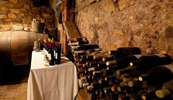 I vini friulani