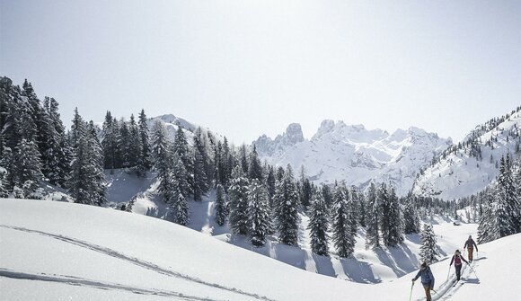 Wanderung zur Dürrensteinhütte