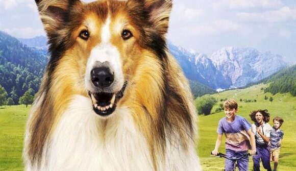 Kino "Lassie - ein neues Abendteuer"