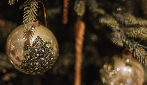 Christbaum-Upcycling