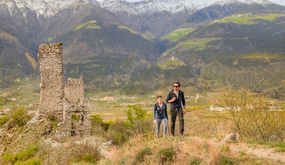 Il risveglio della primavera