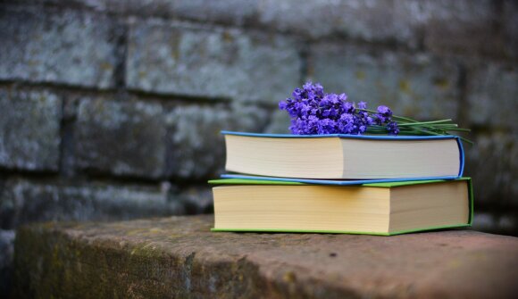 Lidia Menapace - Un pensiero in movimento