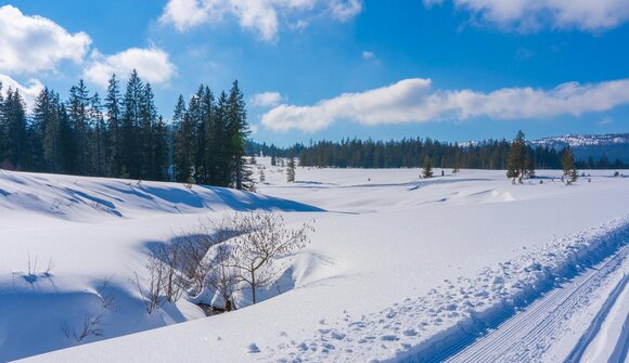Giochi Invernali: Sci di fondo Staffetta