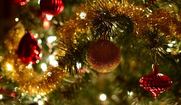 Villaggio sotto l'albero