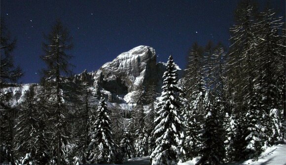 Guided snow-shoe hike