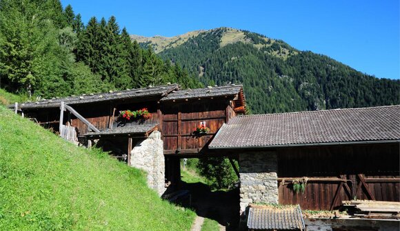 Höhenluft & Scheunenduft