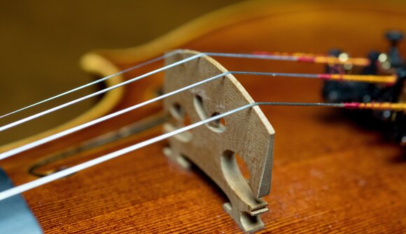 Ludwig van Beethoven: The Day After